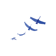 Cadence Education logo